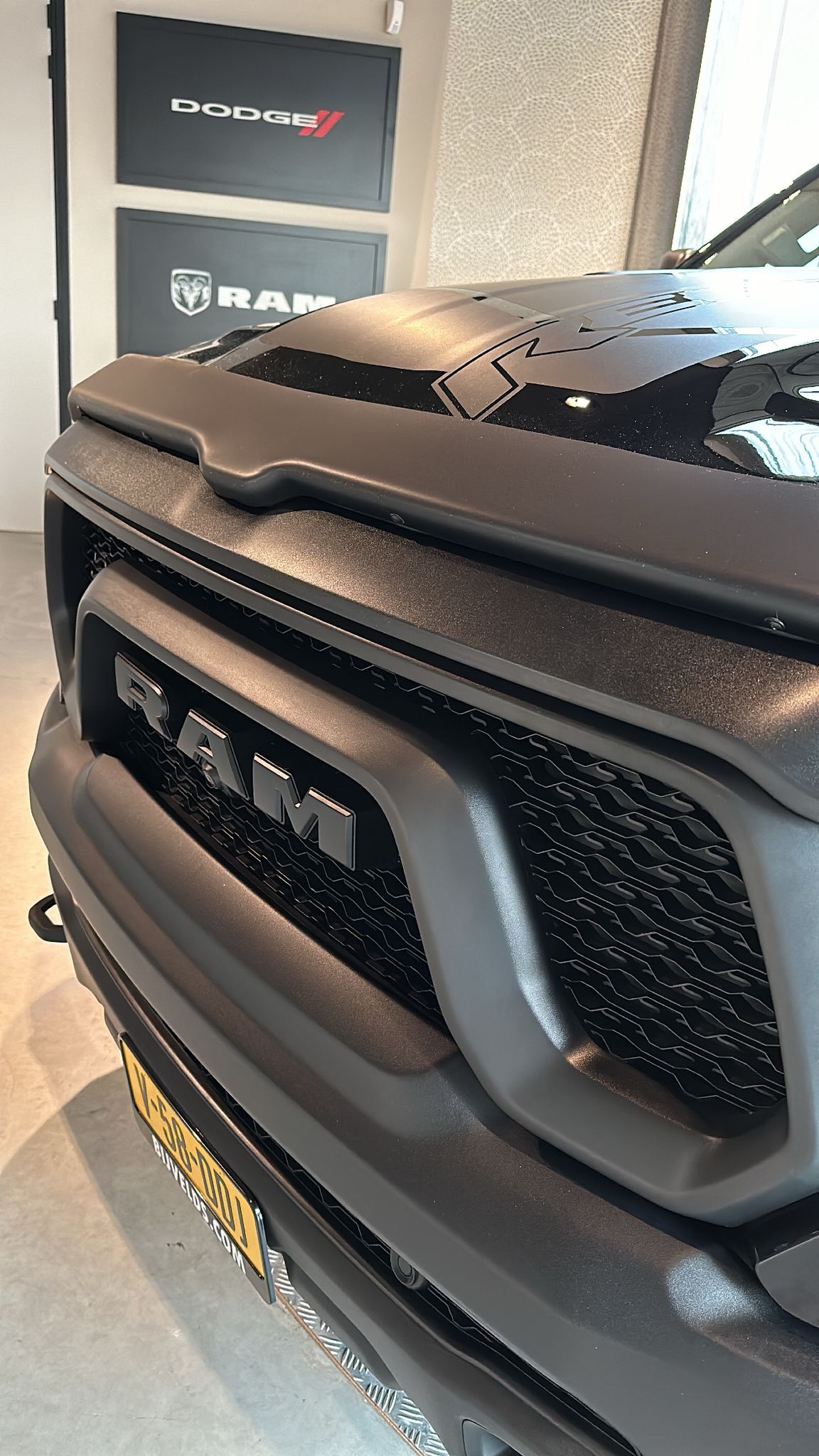 MOPAR Bugdeflector